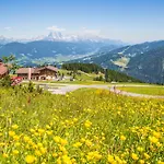 Gasthof Jandlalm 3* Flachau