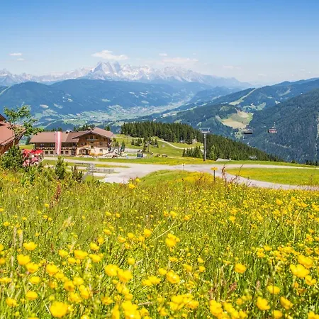 Gasthof Jandlalm 2* Flachau