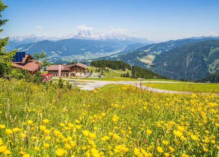 Gasthof Jandlalm 3* Flachau